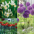 Deer Resistant Garden Blend - Nature Hills Nursery - 18 Pack Bulbs - 