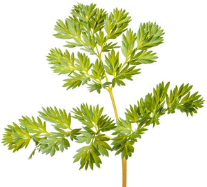 Pink Diamonds Bleeding Heart