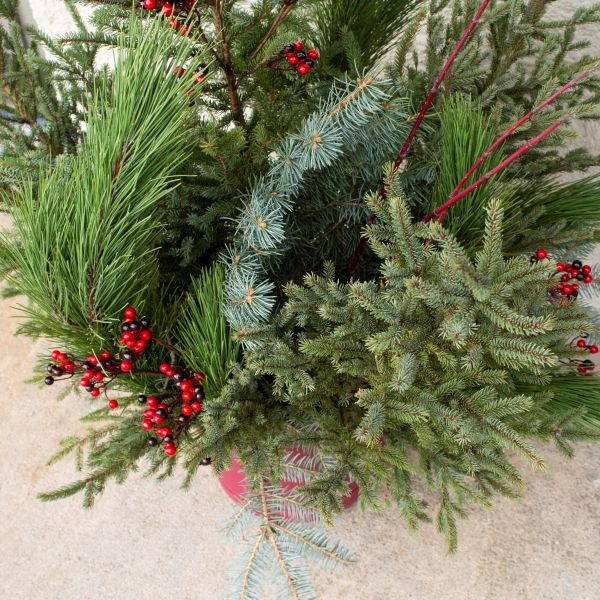 DoorScapes Winter Greenery Kit - Nature Hills Nursery - Standard Kit - Fits 12" Planter - 