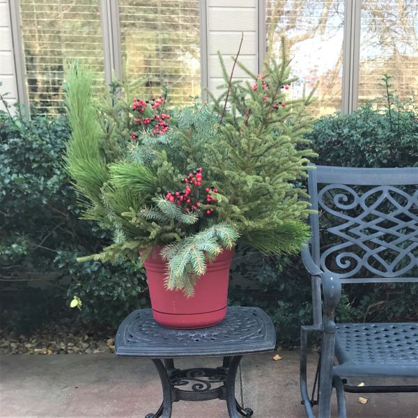 DoorScapes Winter Greenery Kit - Nature Hills Nursery - Standard Kit - Fits 12" Planter - 