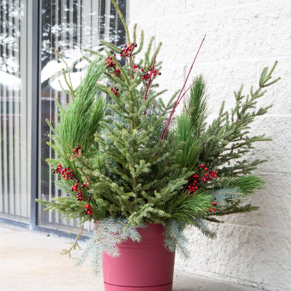 DoorScapes Winter Greenery Kit - Nature Hills Nursery - Standard Kit - Fits 12" Planter - 