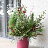 DoorScapes Winter Greenery Kit - Nature Hills Nursery - Standard Kit - Fits 12" Planter - 