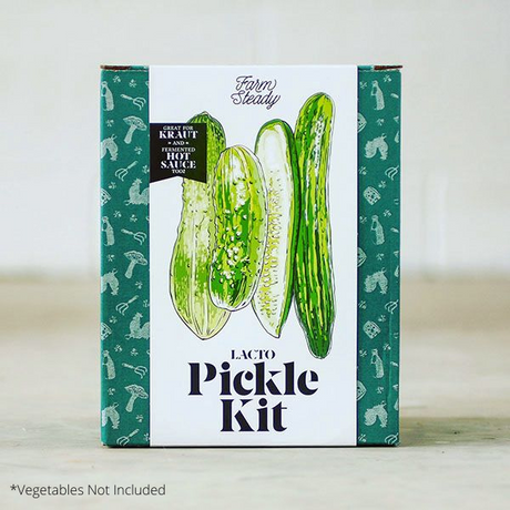 Lacto Pickle Kit