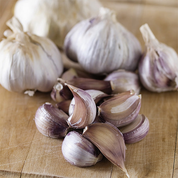 Harvest Garlic Blend