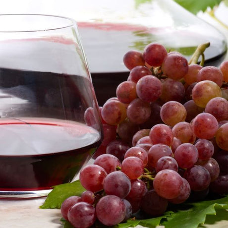 Einset Seedless Grape - Fruittree - Nature Hills Nursery - 