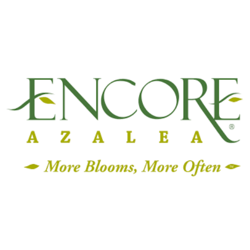 Encore Azalea brand logo with the tagline More Blooms More Often in green lettering.