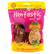 Hentastic Chicken Treats Meanworm & Oregano