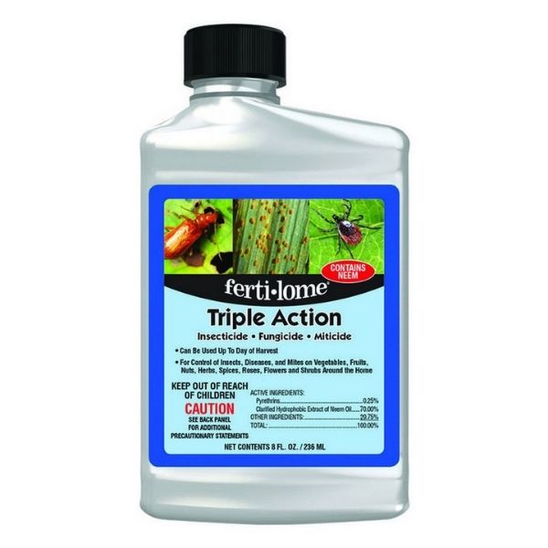 Fertilome Triple Action Plus Concentrate