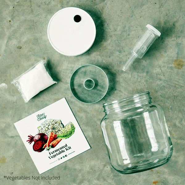 Fermented Vegetables Kit - Nature Hills Nursery - DIY Fermenting Kit - 
