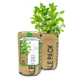 Mint Grow Bags