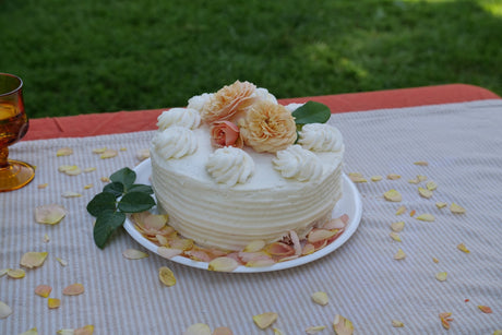 Flavorette Honey-Apricot Rose shrub, garden view