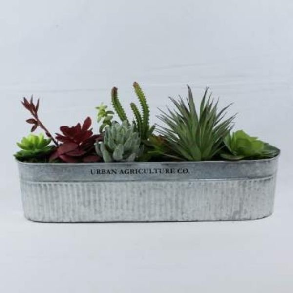Galvanized Succulent - Nature Hills Nursery - Gift Set - 