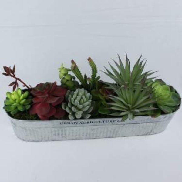 Galvanized Succulent - Nature Hills Nursery - Gift Set - 