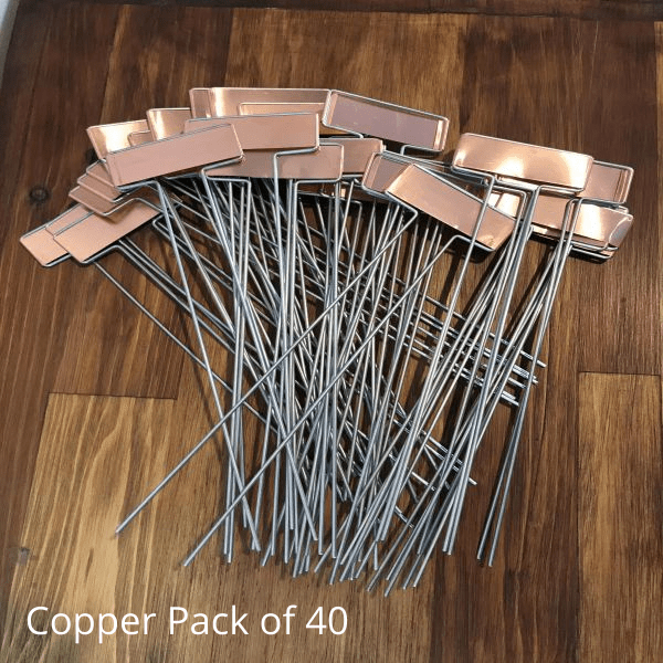 Garden Plant Markers 40 Pack - Nature Hills Nursery - Copper - 