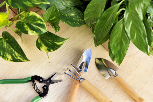 Small gardening hand tools including pruning shears, a cultivator rake, and a trowel on a wood surface surrounded by pothos and peace lily foliage.