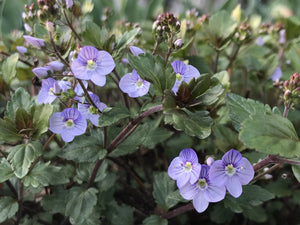 dreamstime_xl_139385636