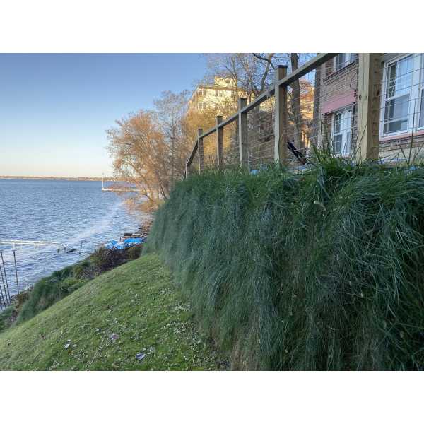 GroWall Pond & Living Shoreline Wall Kits - Nature Hills Nursery - 75 Bag Kit - 