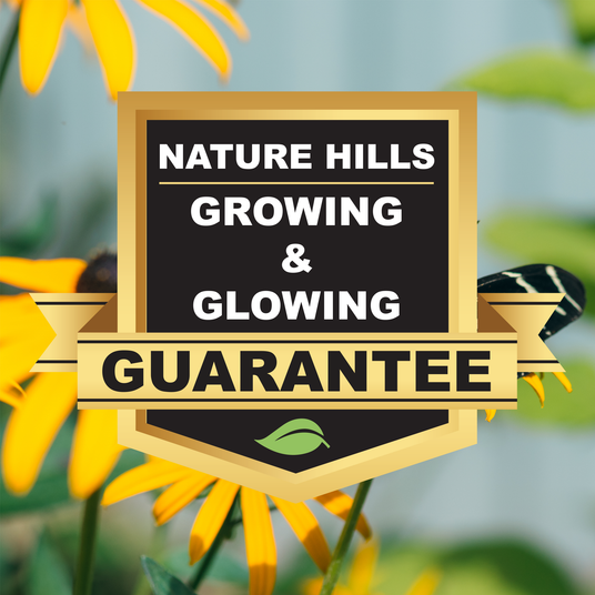 Nature Hills Growing and Glowing Guarantee badge over blooming black-eyed Susan flowers with a butterfly.