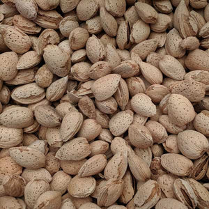 Hall's Hardy Almond Tree - Nature Hills Nursery - #3 Container - 