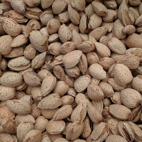 Hall's Hardy Almond Tree - Nature Hills Nursery - #3 Container - 