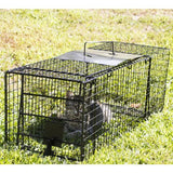 Humane Way Foldable Metal Animal Trap 32 Inch x 12 Inch x 10 Inch - Nature Hills Nursery - Garden Center Item - 