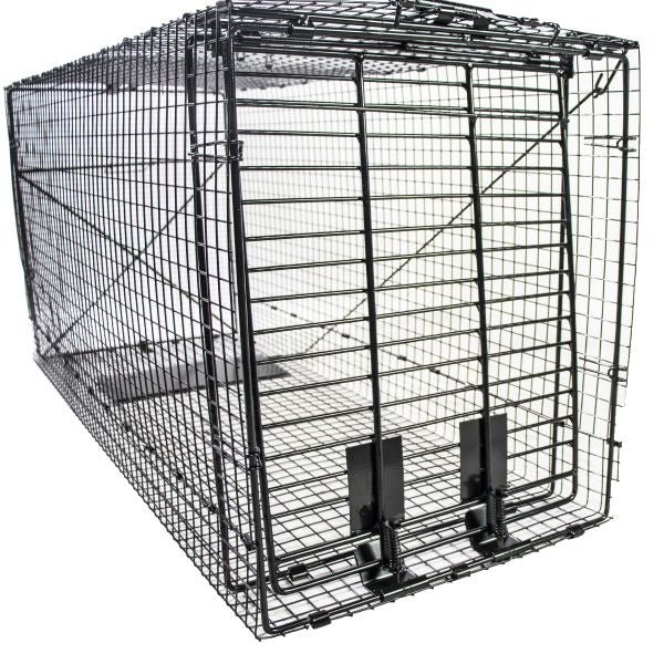 Humane Way Foldable Metal Animal Trap 50 Inch x 20 Inch x 26 Inch - Nature Hills Nursery - Garden Center Item - 