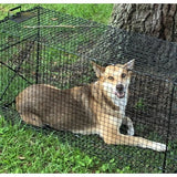 Humane Way Foldable Metal Animal Trap 50 Inch x 20 Inch x 26 Inch - Nature Hills Nursery - Garden Center Item - 