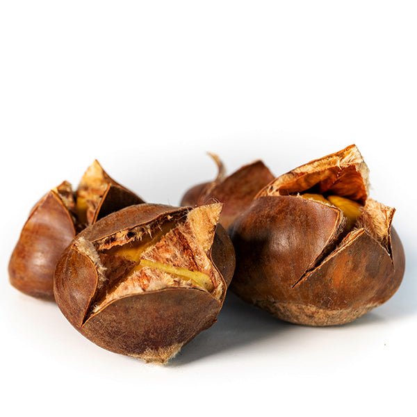 Hybrid Chestnut - Nature Hills Nursery - #2 Container - 
