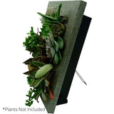 Instant Wall Planter 8" x 10" - Nature Hills Nursery - Garden Center Item - 