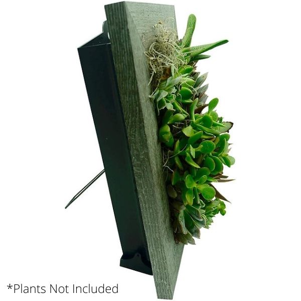Instant Wall Planter 8" x 10" - Nature Hills Nursery - Garden Center Item - 