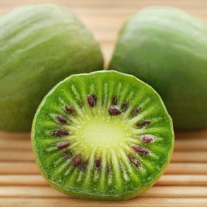Issai Hardy Kiwi Vine - Nature Hills Nursery - #2 Container - 