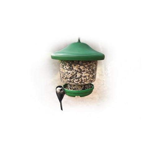 Jacobi Jayne Mf - 1G My Little Favorites Feeder - Nature Hills Nursery - Garden Center Item - 