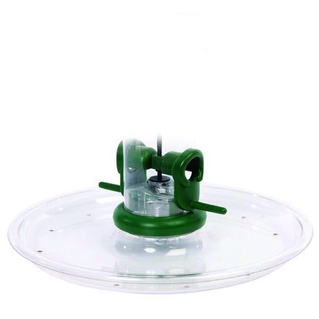 Jacobi Jayne Rpt - 1 Large Seed Tray - Nature Hills Nursery - Garden Center Item - 