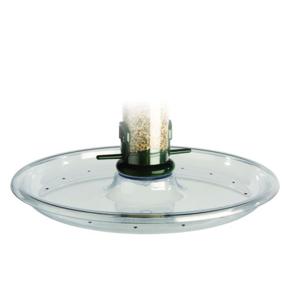 Jacobi Jayne Rpt - 2 Super Seed Tray - Nature Hills Nursery - Garden Center Item - 