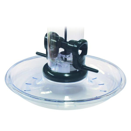 Jacobi Jayne Rpt - A Mini Seed Tray - Nature Hills Nursery - Garden Center Item - 