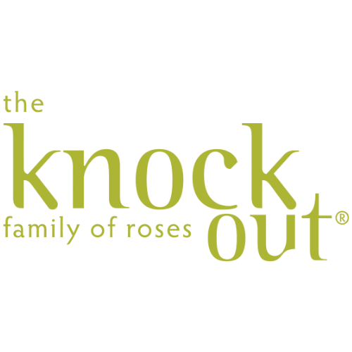 The Knock Out family of roses logo in olive green text on a white background.