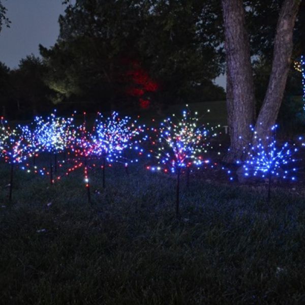 LED Light Burst - Nature Hills Nursery - Green - 