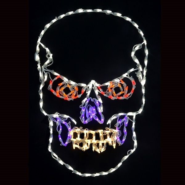 LED Scary Skull - Nature Hills Nursery - Multi - 