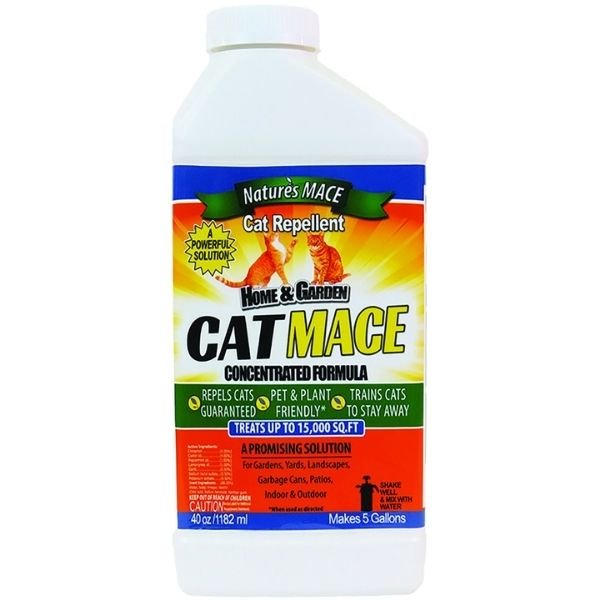 Liquid Cat Mace Concentrate - Nature Hills Nursery - 40 oz - 