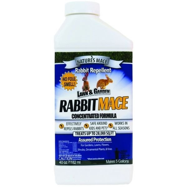 Liquid Rabbit Mace Concentrate - Nature Hills Nursery - 40 oz - 