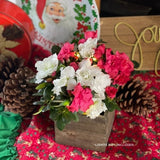 Making Spirits Bright Azalea Shrub - Nature Hills Nursery - 4 Inch Container - 