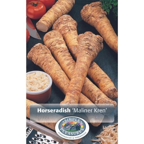 Maliner Kren Horseradish - Nature Hills Nursery - 2 Pack Bareroot - 