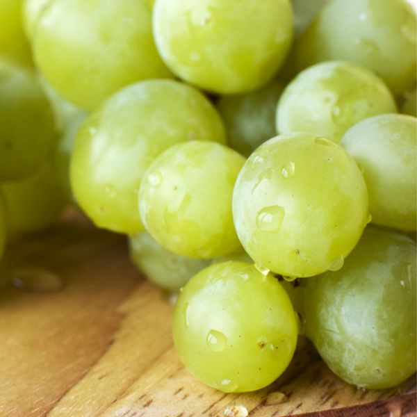 Marquis Seedless Grape - Nature Hills Nursery - Bareroot - 