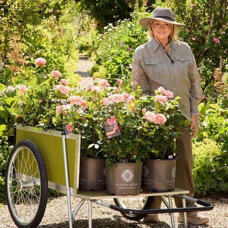 Martha Stewart in her garden with a wheelbarrow full of her roses.
