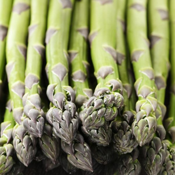 Mary Washington Asparagus