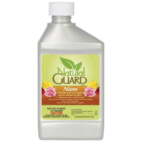 Natural Guard Neem Concentrate - Nature Hills Nursery - 16 oz - 