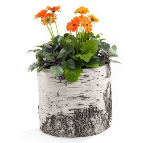 Natures Look 9 Inch Birch Planter - Nature Hills Nursery - Garden Center Item - 
