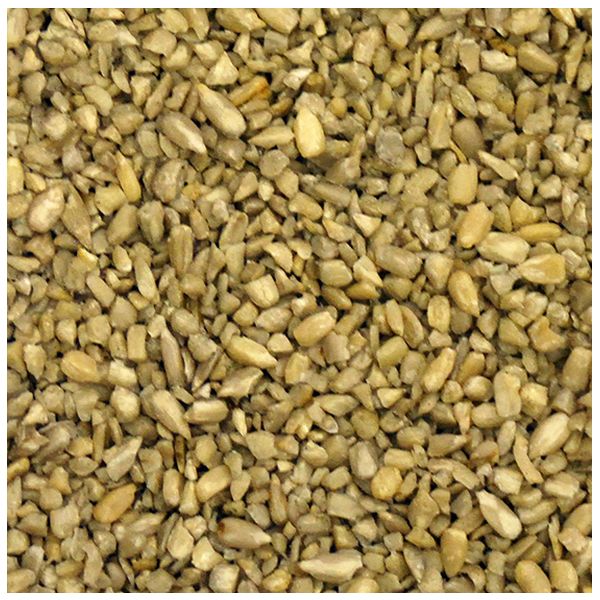 Nature's Select Medium Sunflower Meats for Wild Bird Feed - Nature Hills Nursery - 25 lb - 