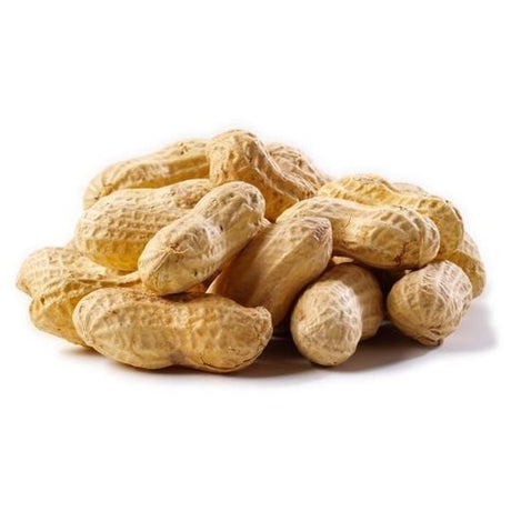 Nature's Select Peanuts Raw In The Shell For Wild Bird Feed - Nature Hills Nursery - 25 lb - 