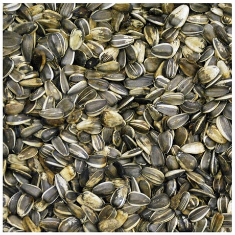 Nature's Select Stripe Sunflower For Wild Bird Feed - Nature Hills Nursery - 25 lb - 
